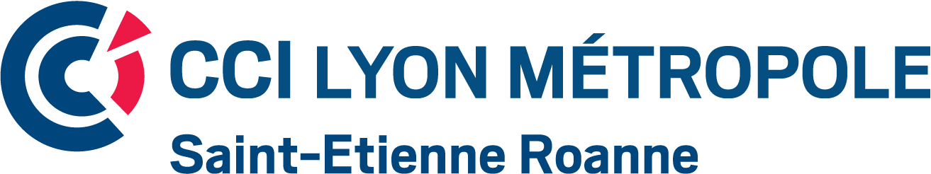 http://www.franchise-management.com/wp-content/uploads/2016/07/cci-lyon-metropole-logo-01.png