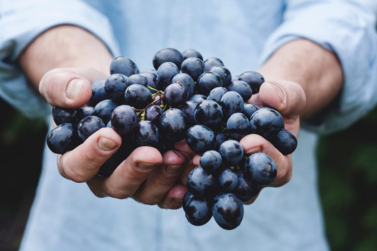 tendance franchise, perspectives du marché de la franchise 