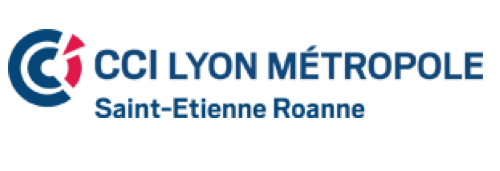 Logo CCI Lyon